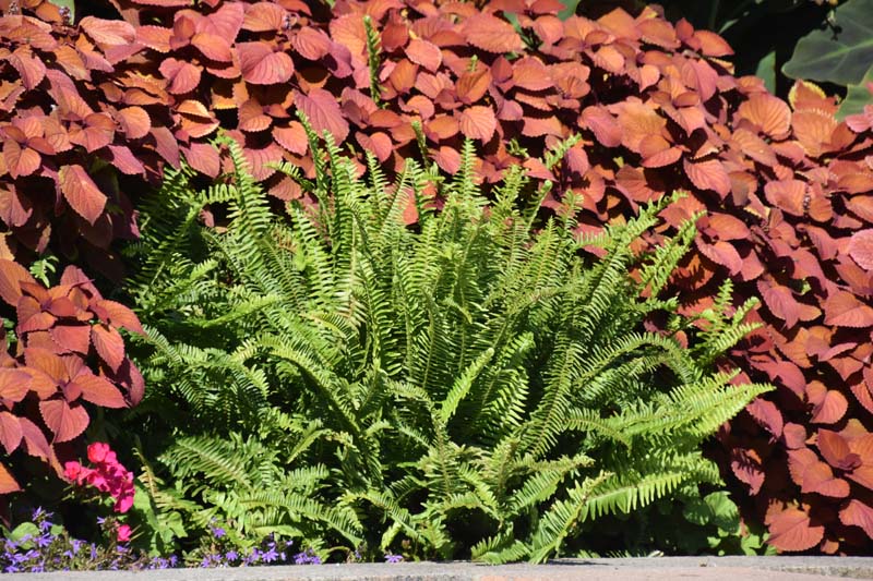 19-09-21_Mont_0189_GA2_7455