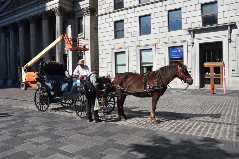 19-09-21_Mont_0222_GA2_7470