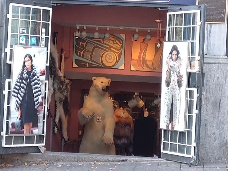 19-09-21_Mont_0256_GaS_0077