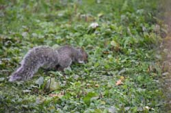 19-09-21_Mont_0116_GA2_7433