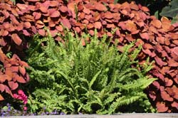 19-09-21_Mont_0189_GA2_7455