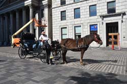 19-09-21_Mont_0222_GA2_7470